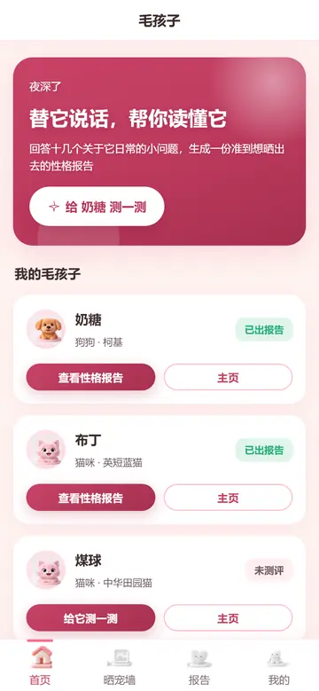 宠物性格分析的问卷首页